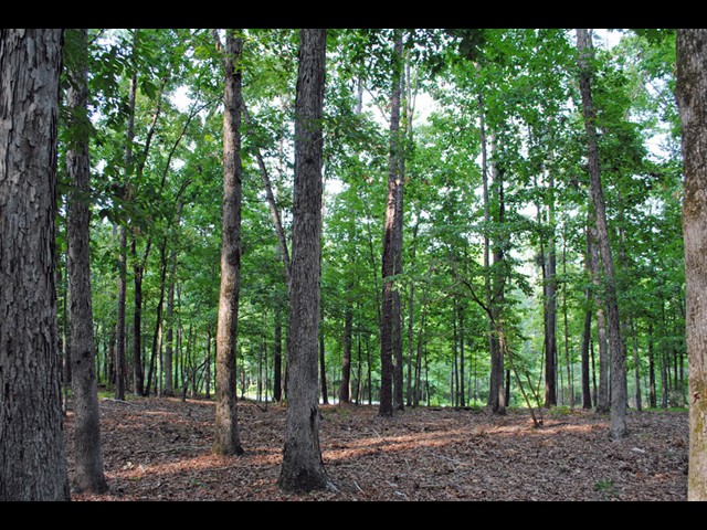 Image of Property